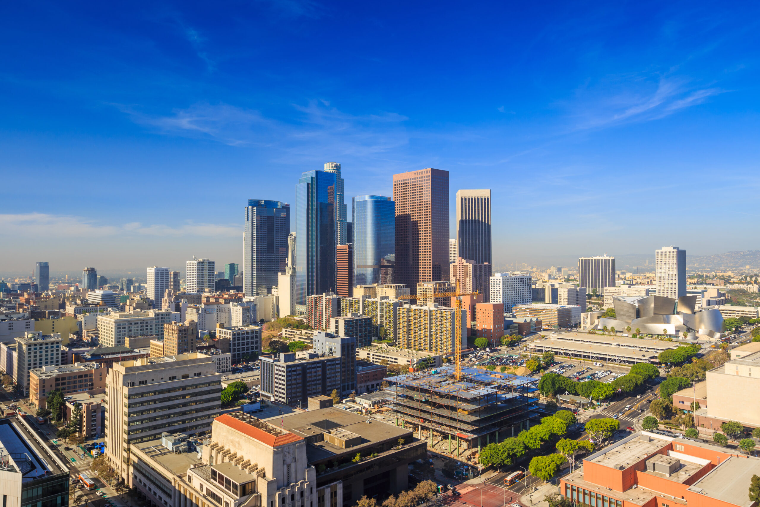 Skyline view of downtown Los Angeles, where Morrison